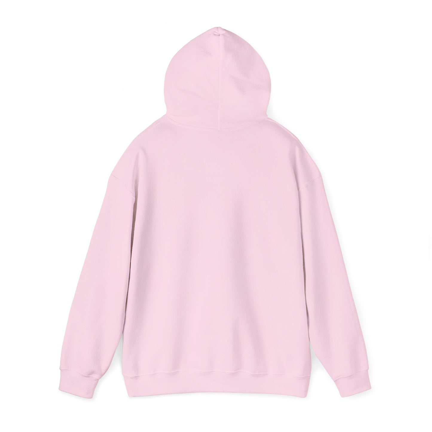 Passenger Princess Hoodie