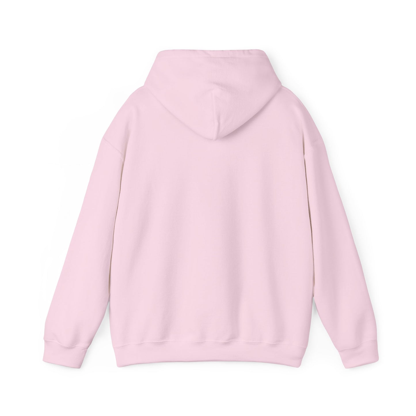 Passenger Princess Hoodie