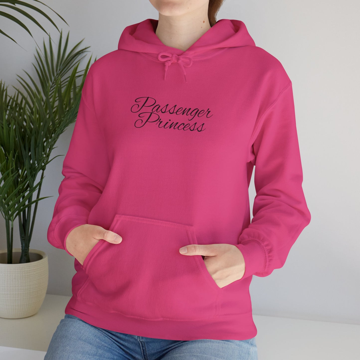 Passenger Princess Hoodie