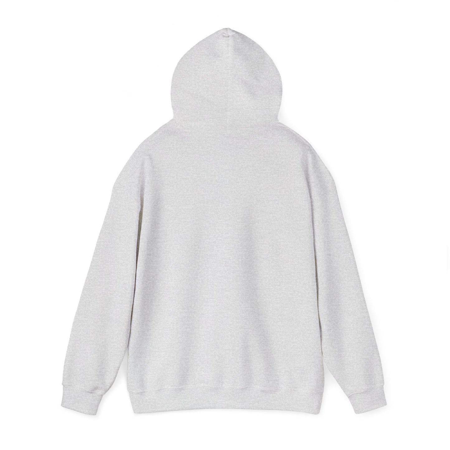 Passenger Princess Hoodie